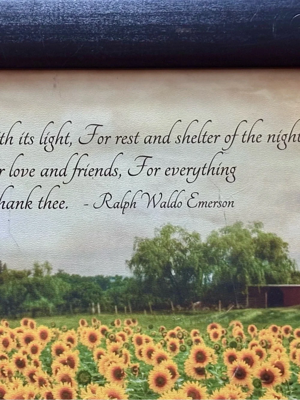 Framed Sunflower Field Wall Signed Art- USA made 27*11